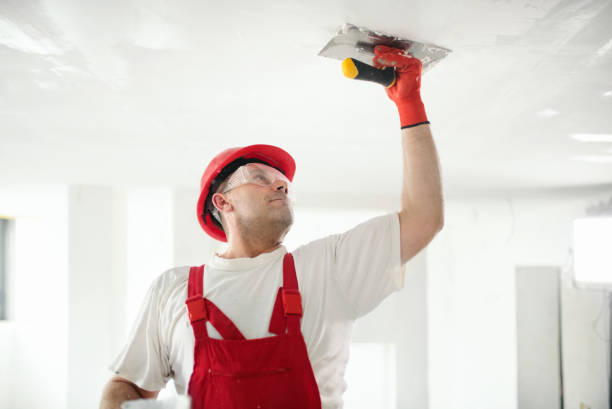 Reliable Coplay, PA Drywall & Painting Services Solutions